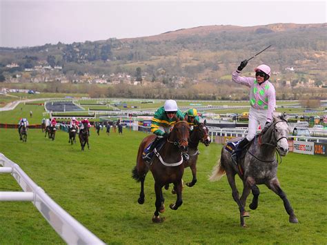 horses to bet on cheltenham races